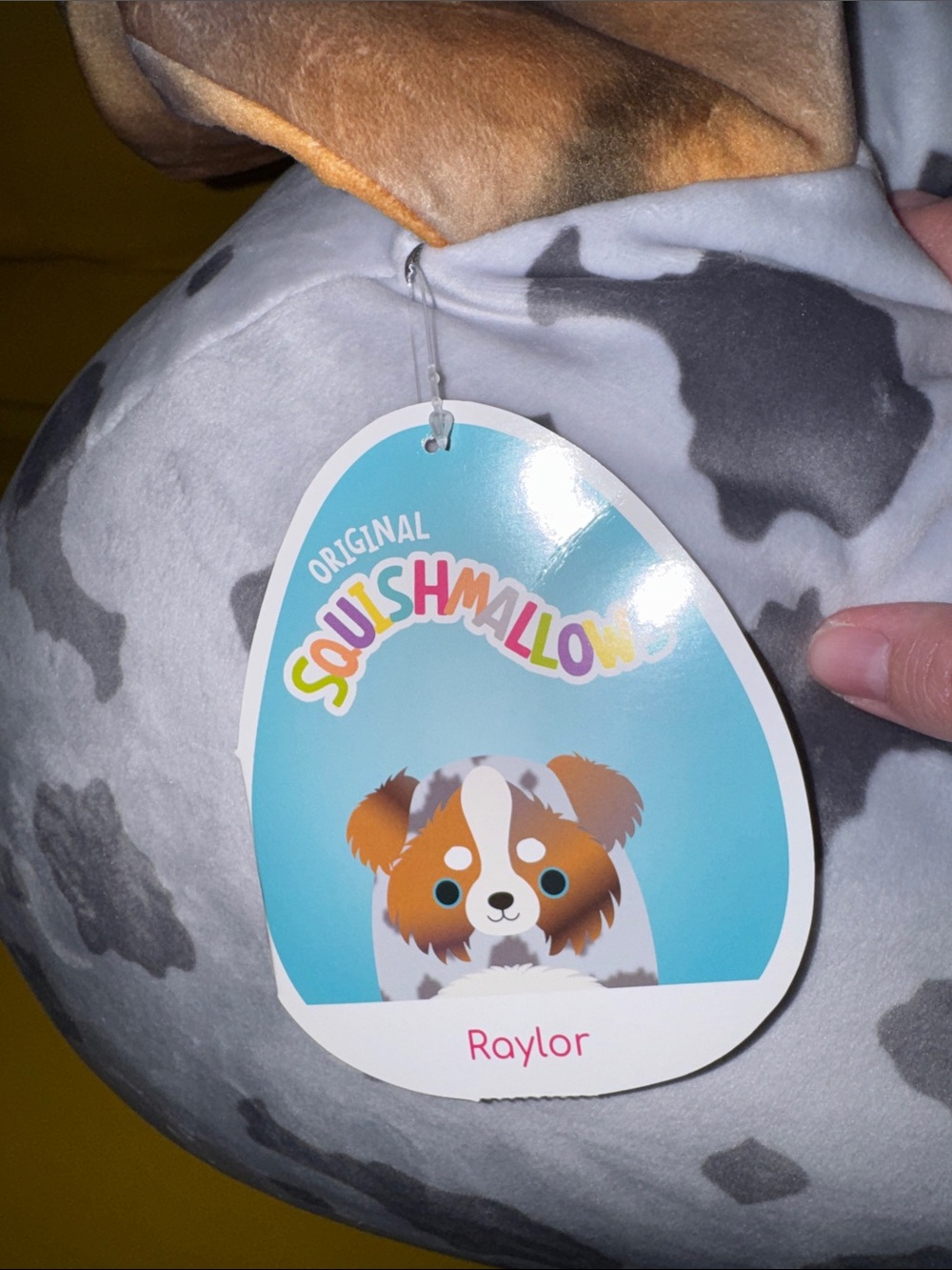 2021 Jumbo Raylor - Picture 4 of 4